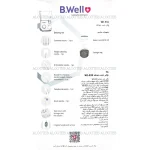 خرید واتر جت دندان بی ول WI-933 - فروشگاه الو طب